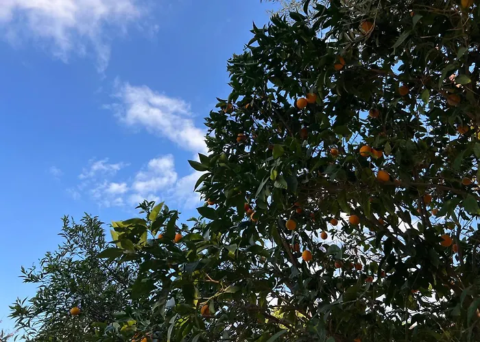 1947 Rescued Stone House *